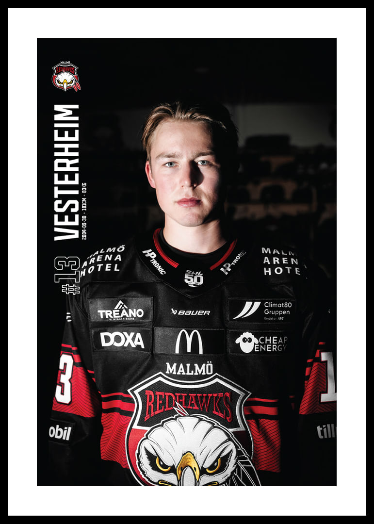 Petter Vesterheim #13 Malmö Redhawks 2025/2026-12