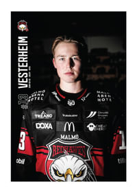 Petter Vesterheim #13 Malmö Redhawks 2025/2026-1