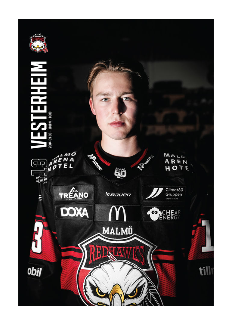 Petter Vesterheim #13 Malmö Redhawks 2025/2026-12