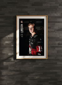 Freddie Larsson #15 Malmö Redhawks 2025/2026-4