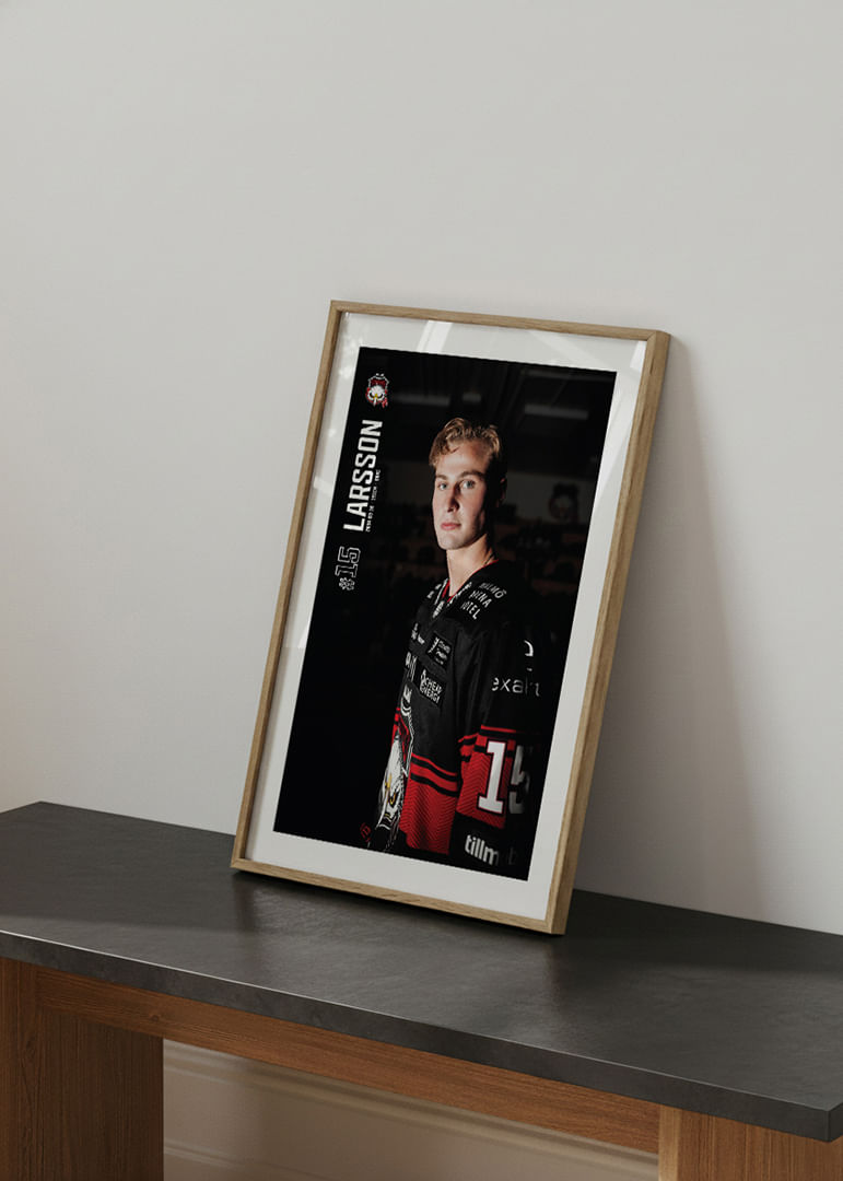 Freddie Larsson #15 Malmö Redhawks 2025/2026-12