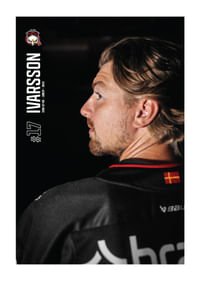 Johan Ivarsson #17 Malmö Redhawks 2025/2026-1
