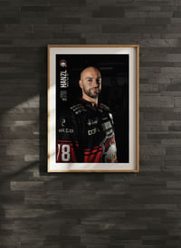Robin Hanzl #78 Malmö Redhawks 2025/2026-4