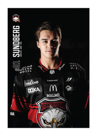 Axel Sundberg #91 Malmö Redhawks 2025/2026-1