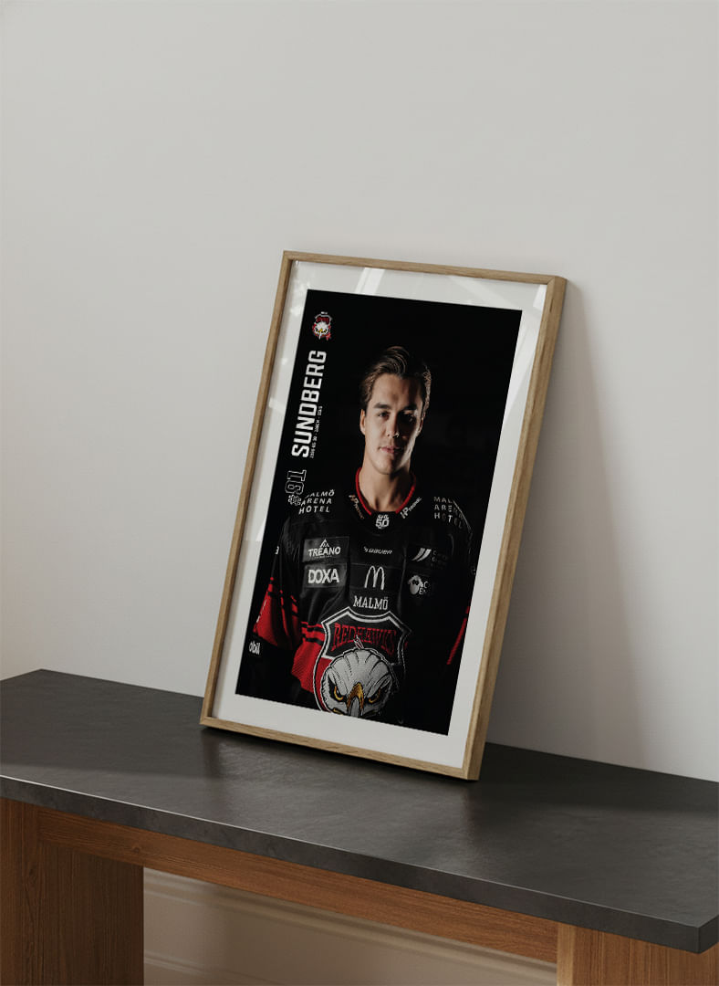 Axel Sundberg #91 Malmö Redhawks 2025/2026-12