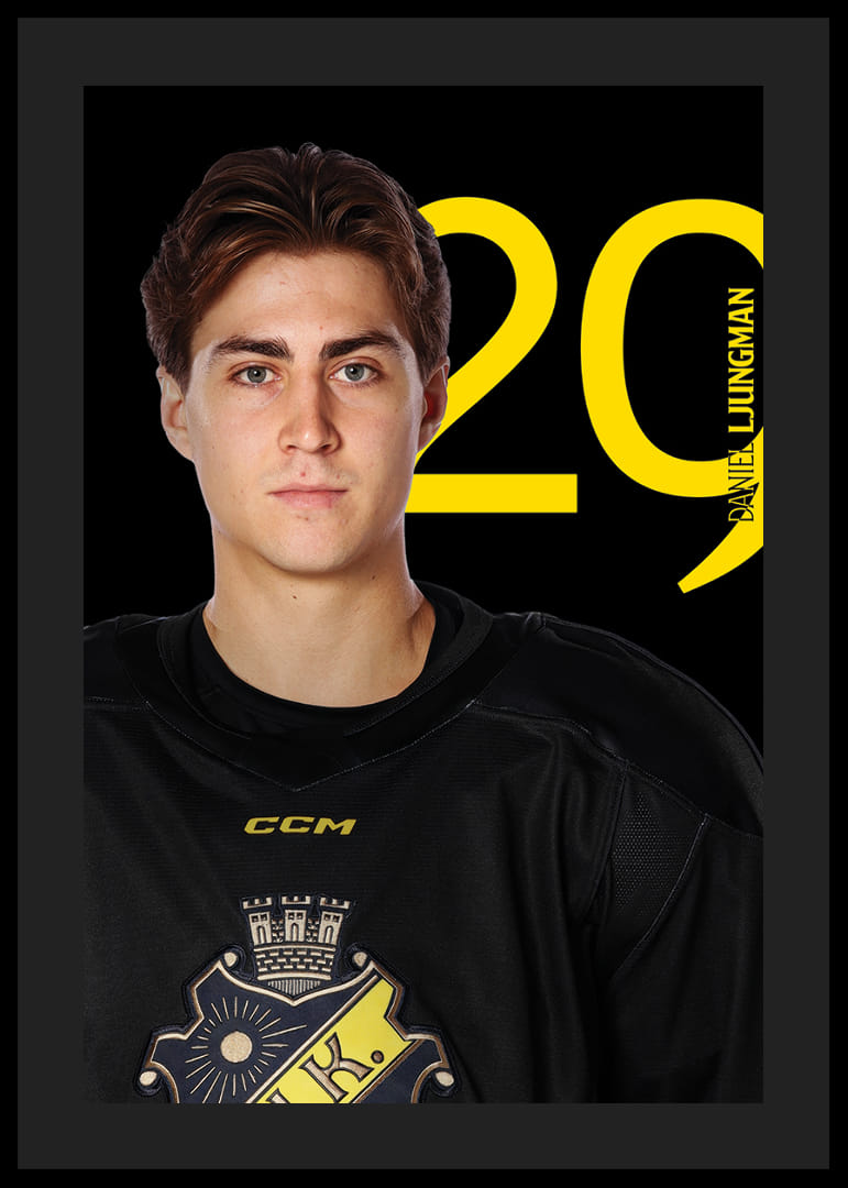 Daniel Ljungman #29 AIK Hockey 2025/2026-12