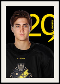 Daniel Ljungman #29 AIK Hockey 2025/2026-4