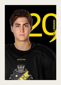 Daniel Ljungman #29 AIK Hockey 2025/2026-5