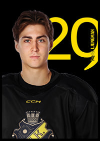 Daniel Ljungman #29 AIK Hockey 2025/2026-6