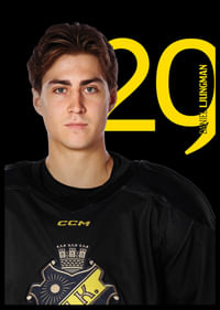 Daniel Ljungman #29 AIK Hockey 2025/2026-2
