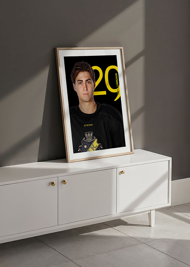 Daniel Ljungman #29 AIK Hockey 2025/2026-12