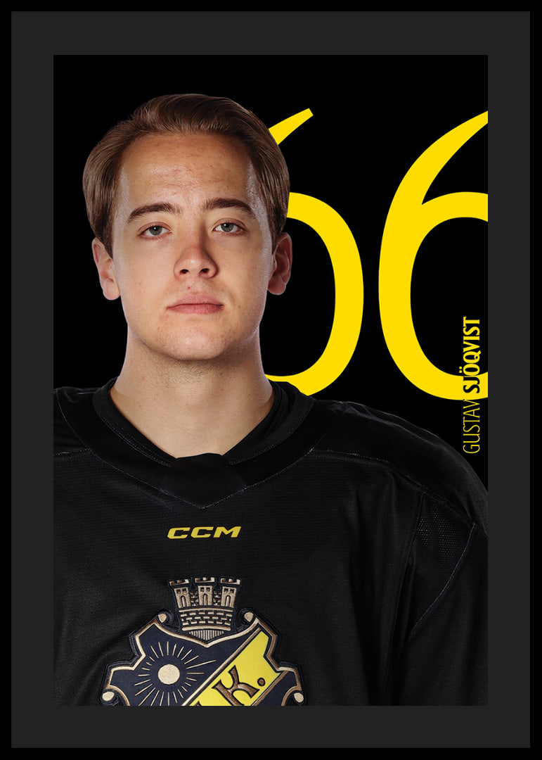 Gustav Sjöqvist #66 AIK Hockey 2025/2026-12