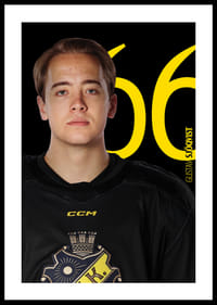 Gustav Sjöqvist #66 AIK Hockey 2025/2026-2