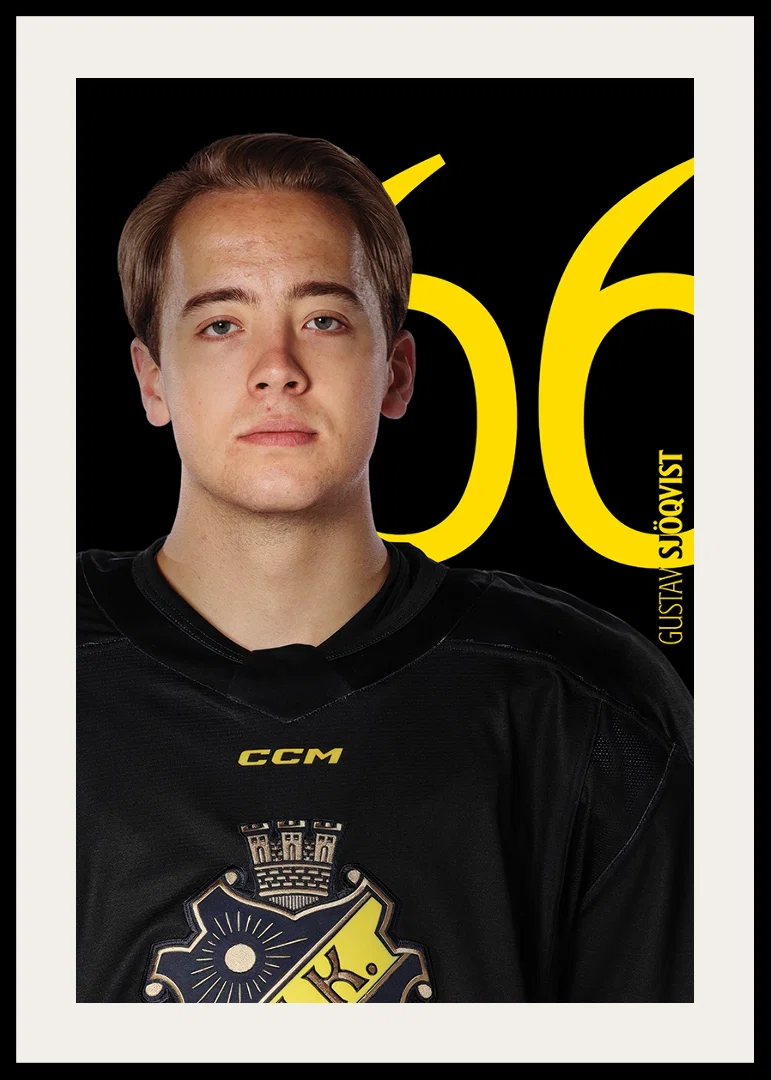 Gustav Sjöqvist #66 AIK Hockey 2025/2026-12