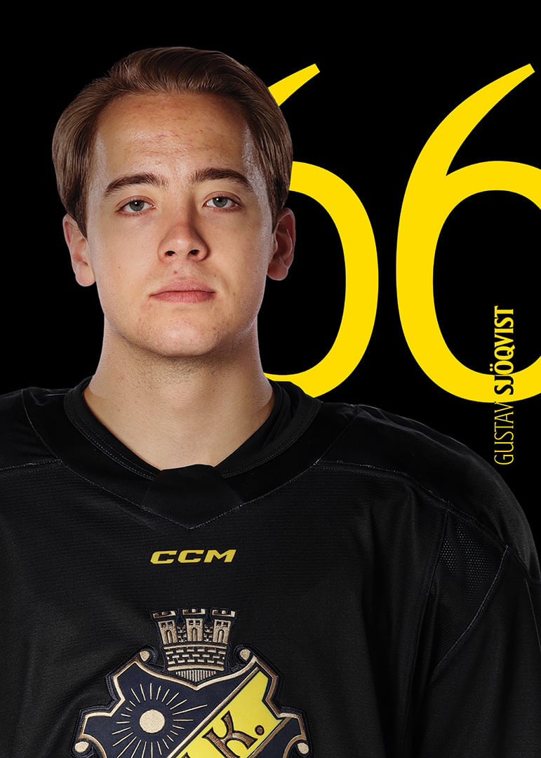 Gustav Sjöqvist #66 AIK Hockey 2025/2026-12