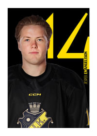 Jesper Emanuelsson #14 AIK Hockey 2025/2026-1