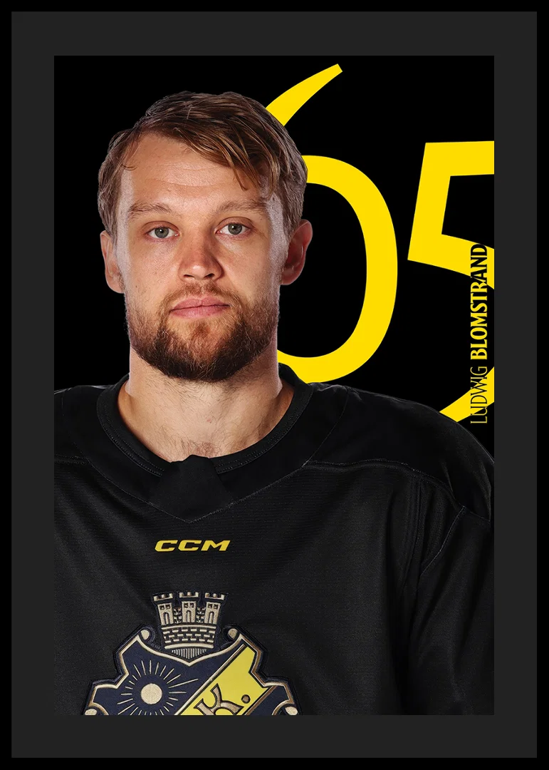 Ludwig Blomstrand #65 AIK Hockey 2025/2026-12