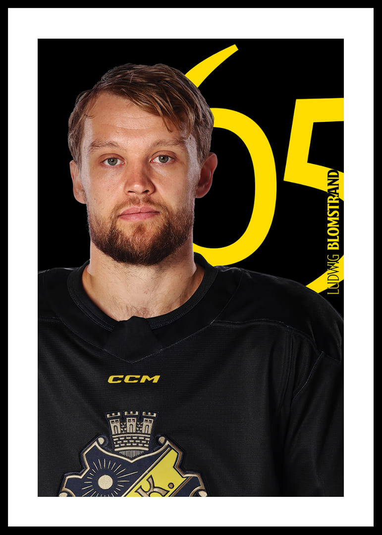 Ludwig Blomstrand #65 AIK Hockey 2025/2026-12