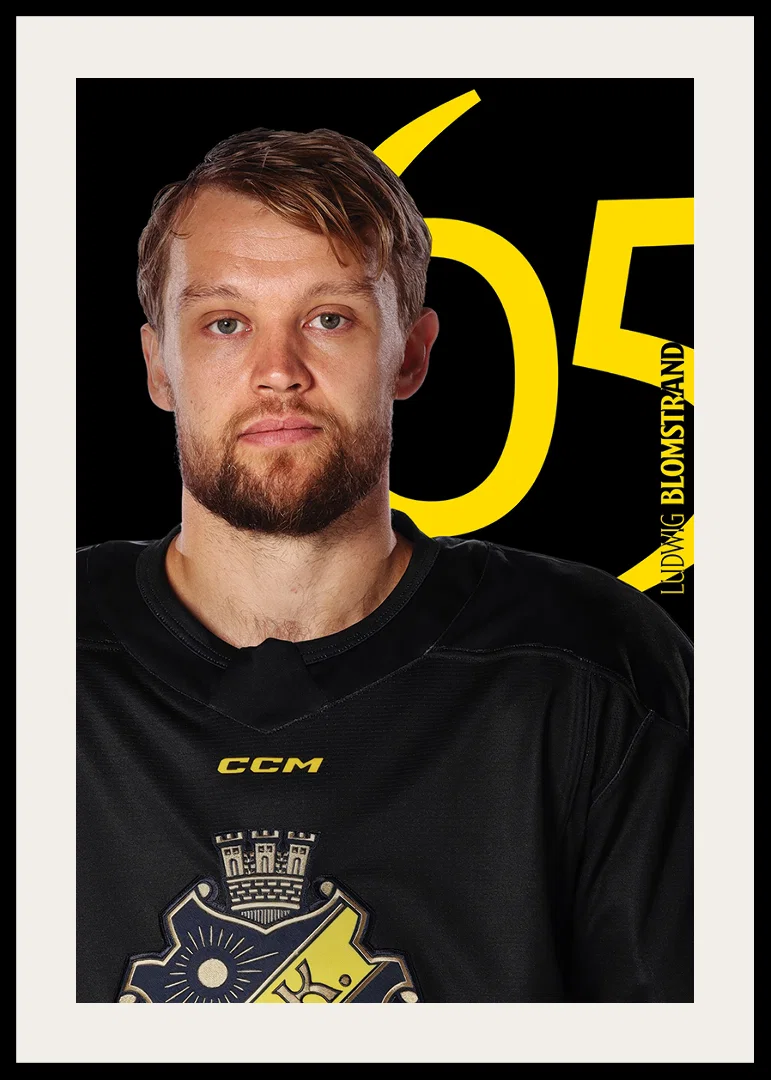 Ludwig Blomstrand #65 AIK Hockey 2025/2026-12