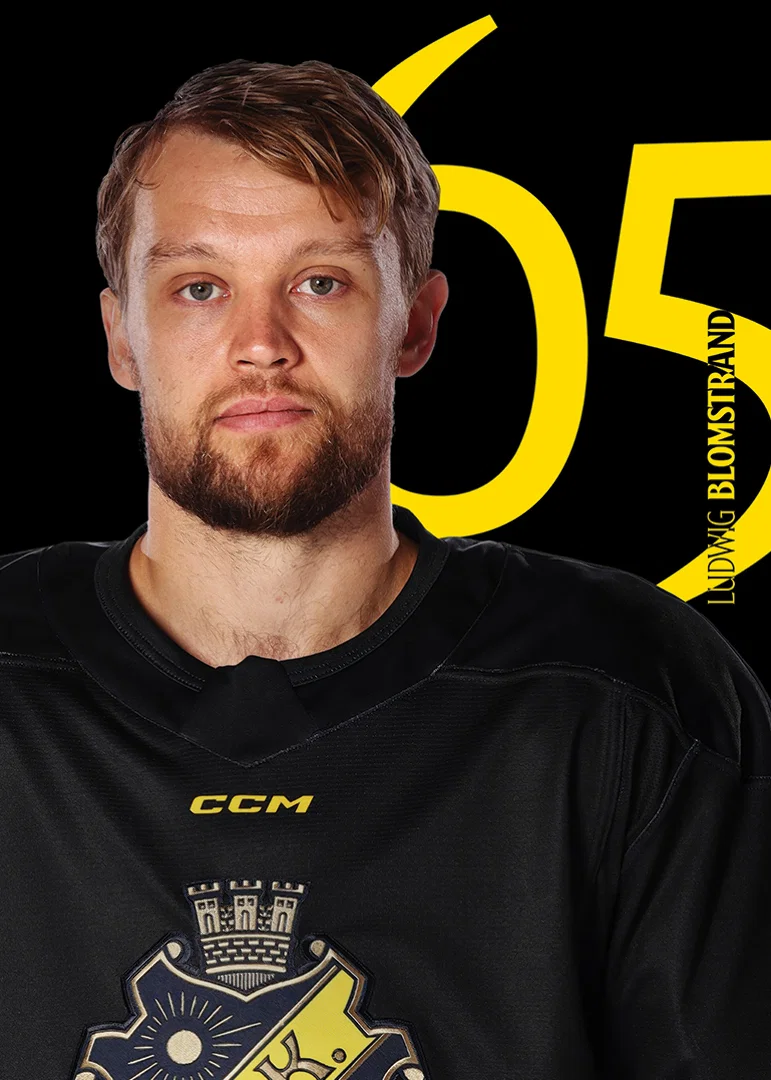 Ludwig Blomstrand #65 AIK Hockey 2025/2026-12