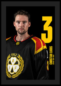 Christian Djoos #3 Brynäs IF 2025/2026-4