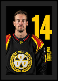 Robert Hägg #14 Brynäs IF 2025/2026-4