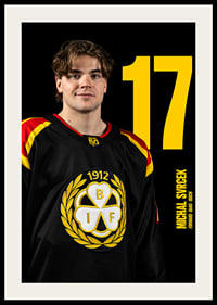 Michal Svrcek #17 Brynäs IF 2025/2026-2