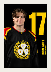 Michal Svrcek #17 Brynäs IF 2025/2026-3