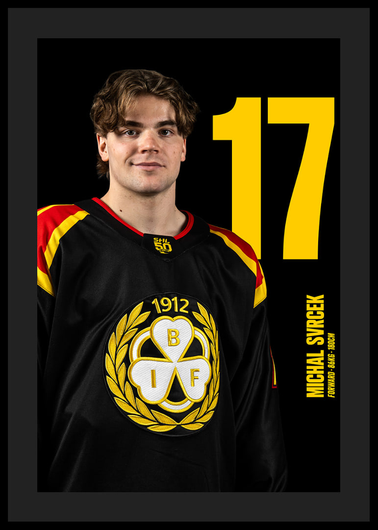 Michal Svrcek #17 Brynäs IF 2025/2026-12