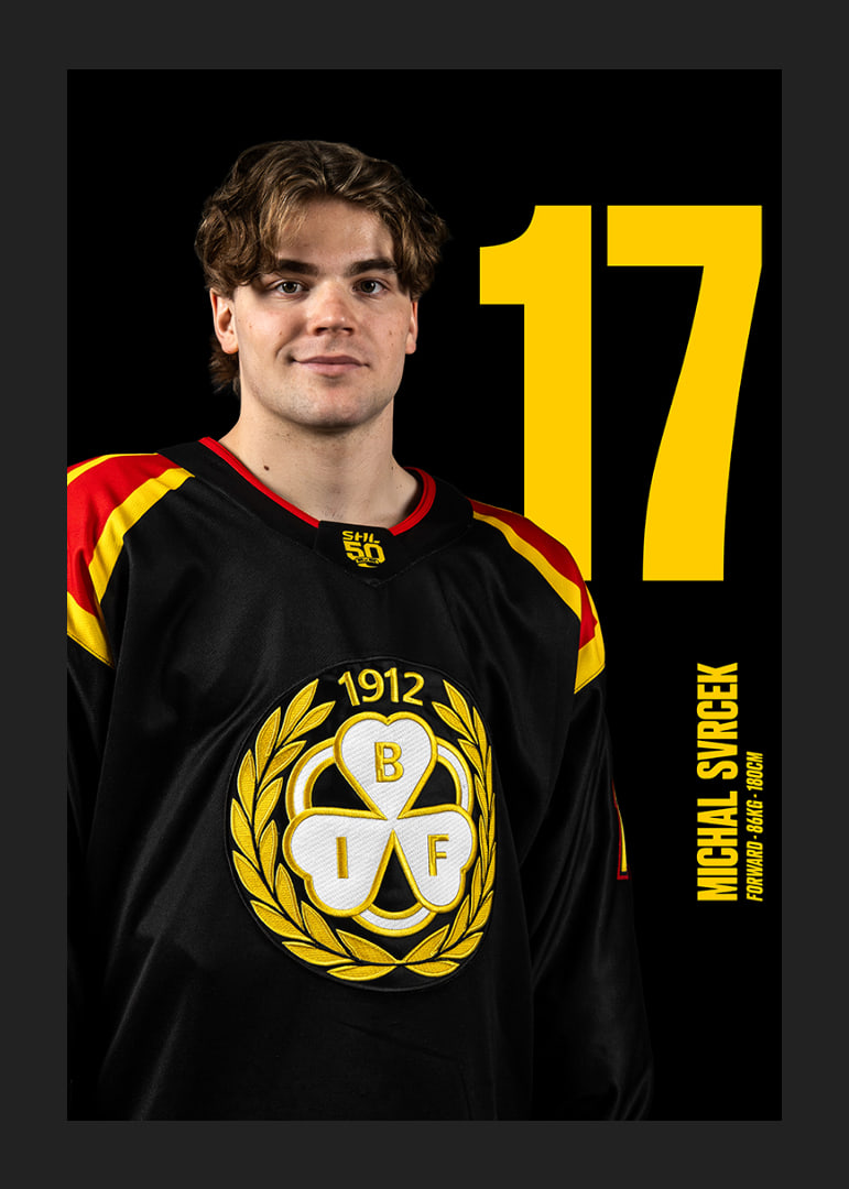 Michal Svrcek #17 Brynäs IF 2025/2026-12