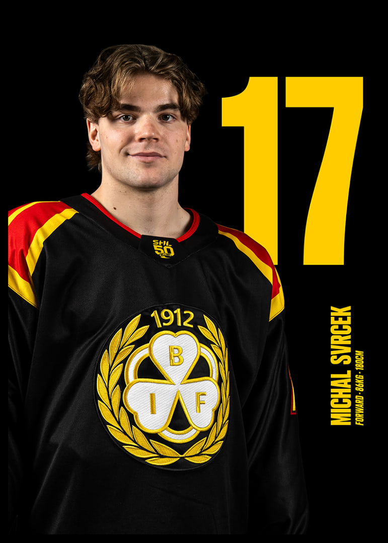 Michal Svrcek #17 Brynäs IF 2025/2026-12