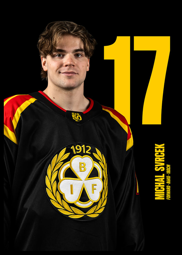 Michal Svrcek #17 Brynäs IF 2025/2026-12
