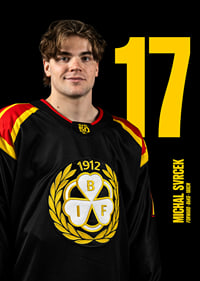 Michal Svrcek #17 Brynäs IF 2025/2026-7