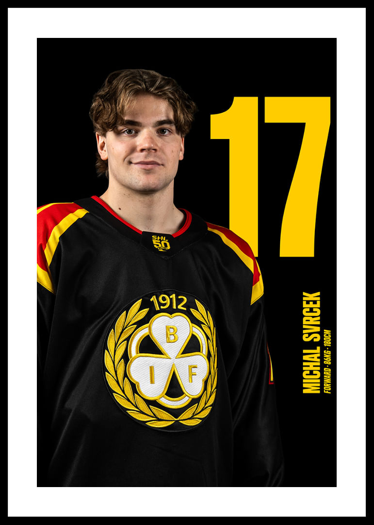 Michal Svrcek #17 Brynäs IF 2025/2026-12