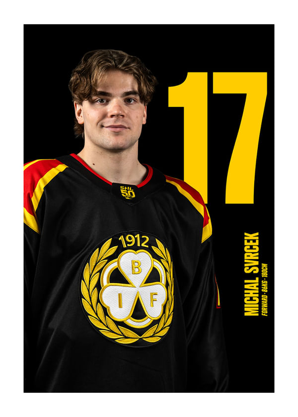 Poster Michal Svrcek #17 Brynäs IF 2025/2026