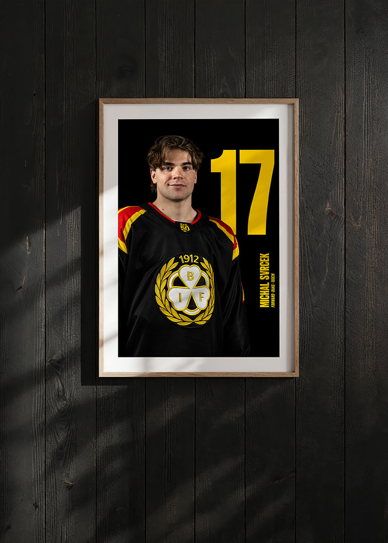 Michal Svrcek #17 Brynäs IF 2025/2026-12