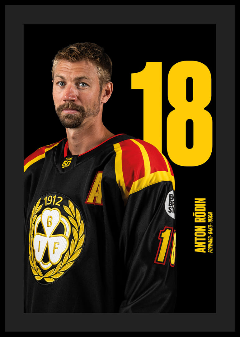 Anton Rödin #18 Brynäs IF 2025/2026-12