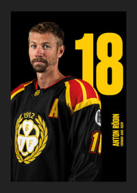 Anton Rödin #18 Brynäs IF 2025/2026-5