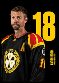 Anton Rödin #18 Brynäs IF 2025/2026-6