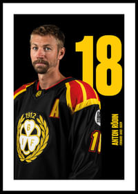 Anton Rödin #18 Brynäs IF 2025/2026-0