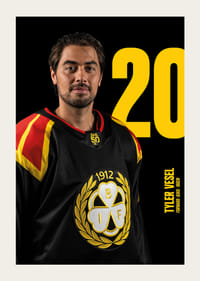 Tyler Vesel #20 Brynäs IF 2025/2026-3