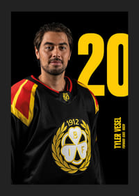 Tyler Vesel #20 Brynäs IF 2025/2026-5