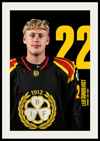 Leo Sundqvist #22 Brynäs IF 2025/2026-2