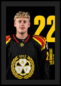 Leo Sundqvist #22 Brynäs IF 2025/2026-4