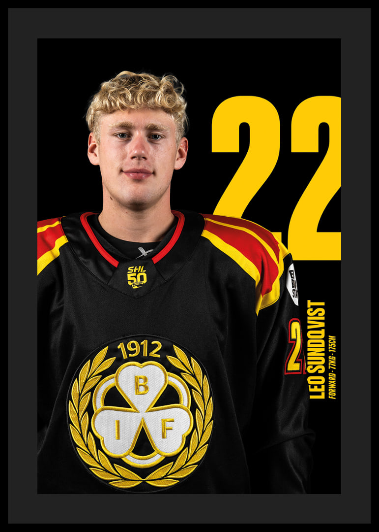 Leo Sundqvist #22 Brynäs IF 2025/2026-12