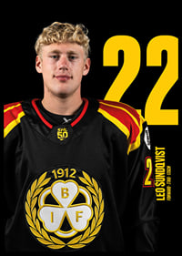 Leo Sundqvist #22 Brynäs IF 2025/2026-6