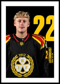 Leo Sundqvist #22 Brynäs IF 2025/2026-0
