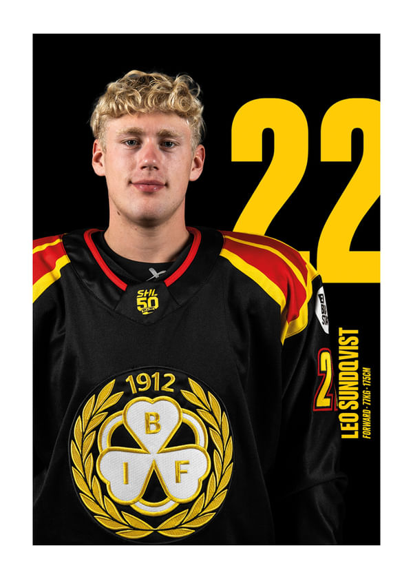 Poster Leo Sundqvist #22 Brynäs IF 2025/2026