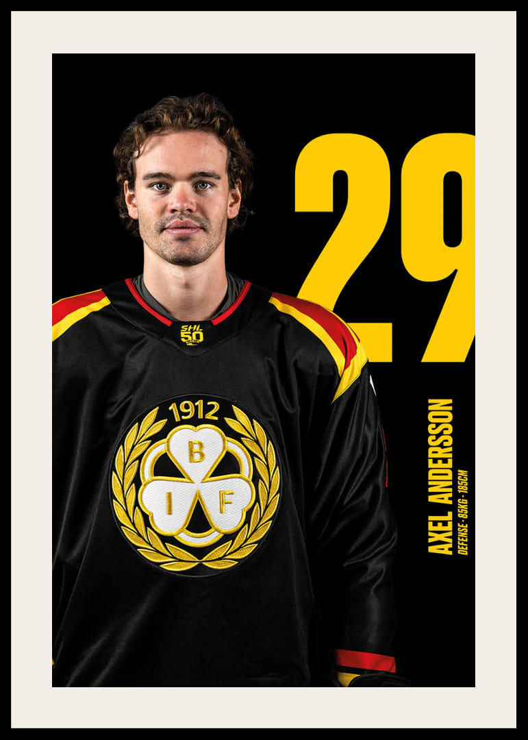 Axel Andersson #29 Brynäs IF 2025/2026-12