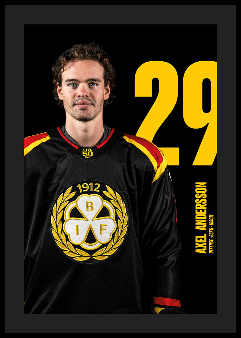 Axel Andersson #29 Brynäs IF 2025/2026-12